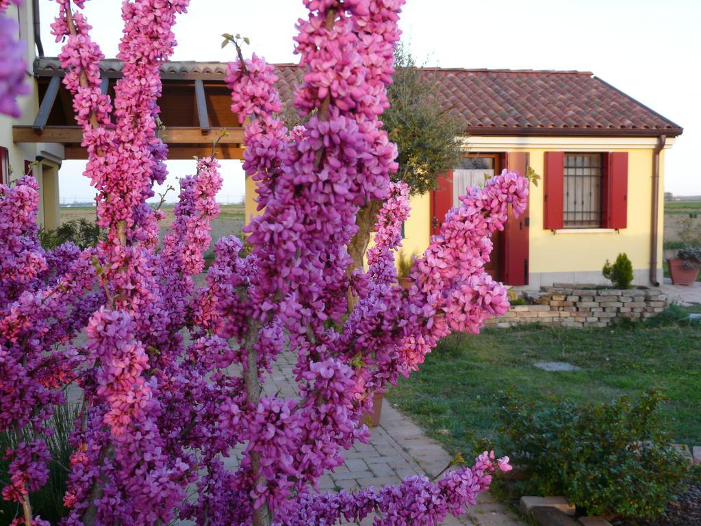 B&B La Garzetta Адрия Екстериор снимка